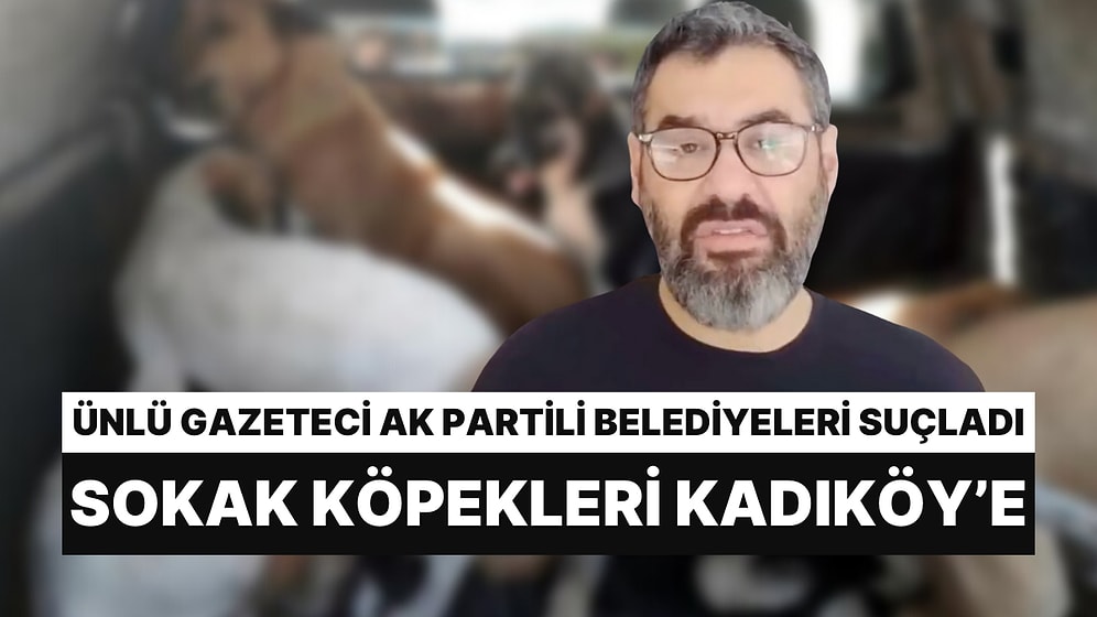 Gazeteci Enver Aysever: "AK Partili Belediyeler Gece Yarısı Kadıköy'e Köpek Salıyor"