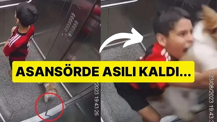 11 Yaşındaki Çocuk, Köpeğini Kurtarmak İçin Tasmasına Asılı Kaldı!