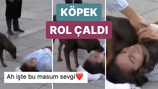 Zafer Bayramı İçin Sokakta Yapılan Tiyatro Gösterisinde Bir Köpek ile Oyuncu Arasında Tatlı Anlar Yaşandı