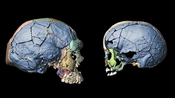 Araştırmalara göre insan beyninin boyutu son 4 milyon yılda kabaca üç katına çıktı. Ancak bu hızlı büyümenin arkasındaki neden tam olarak bulunmuş değil.
