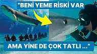 En Yakın Arkadaşının 4.5 Metre Uzunluğundaki Köpek Balığı Olduğunu Söyleyen Adam İçinizi Isıtacak