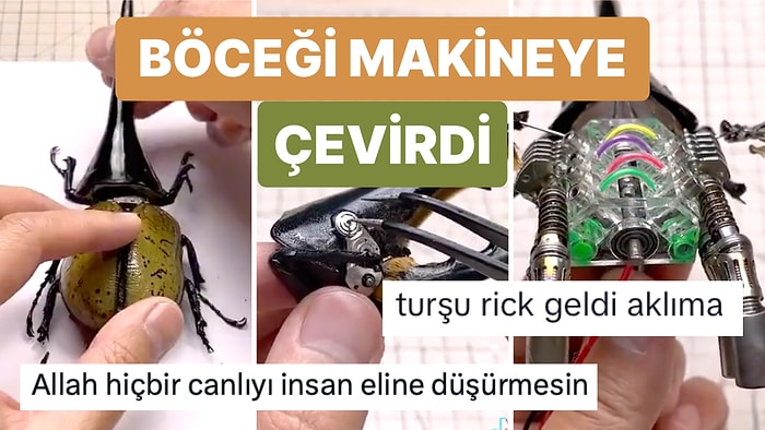 Yakaladığı Böceği Parçalarına Ayırıp Bir Makineye Dönüştüren Bir Garip Adam