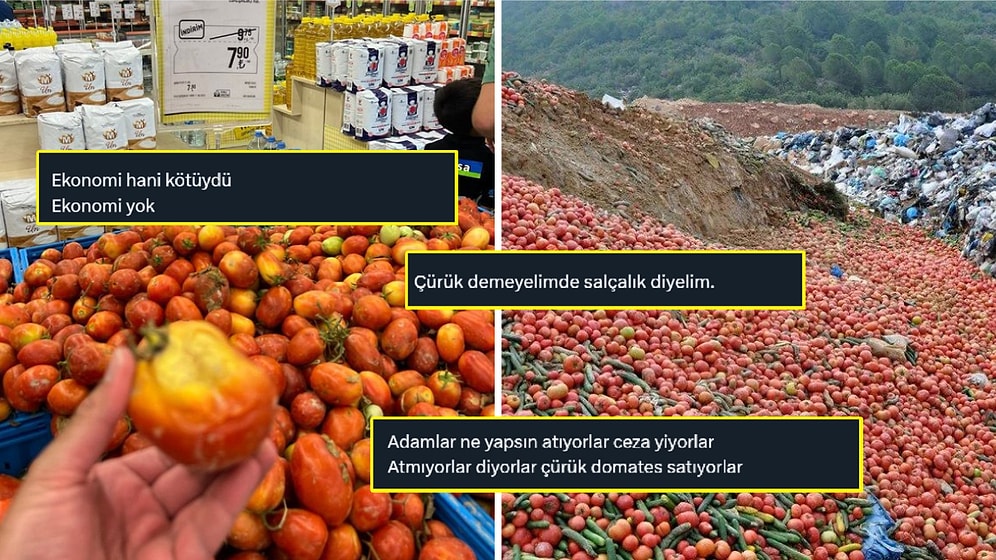 Markette Kilosu 8 Liraya Satılan Domateslerin Çürük Olması Dillere Düştü