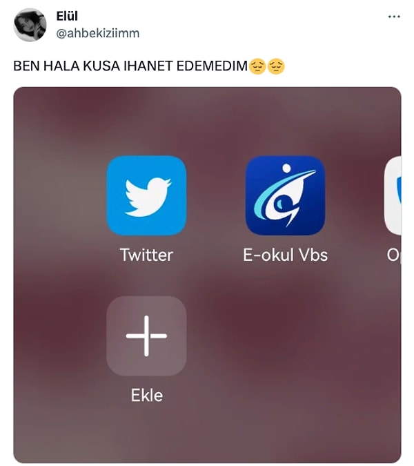 Bir sosyal medya kullanıcısı da, hem ismi hem de simgesi değişen Twitter uygulamasının, eski sürümünü kullandığını belirtmek için bir ekran görüntüsü paylaştı.