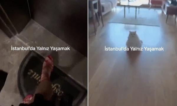Artan kira ve ev fiyatlarına rağmen, TikTok'ta her gün "İstanbul'da tek başına yaşamak" temalı bir video ile karşılaşıyoruz.