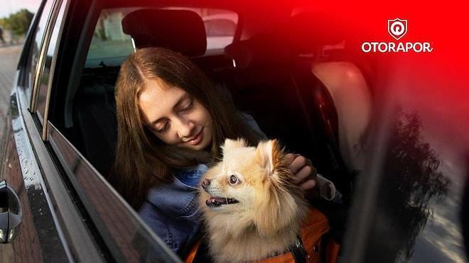 Evcil Dostlarıyla Seyahate Çıkanların Aklının Bir Köşesine Not Etmesi Gereken Uyarılar