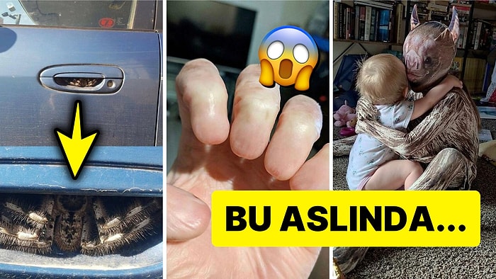 "Bugünlük Bu Kadar İnternet Yeter" Dedirtip Kabuslarınıza Girecek 17 Tuhaf Görsel