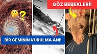 Tarihten Günümüze Hayatı Sorgulamanıza Sebep Olmaya Aday Birbirinden İlginç 17 Görsel