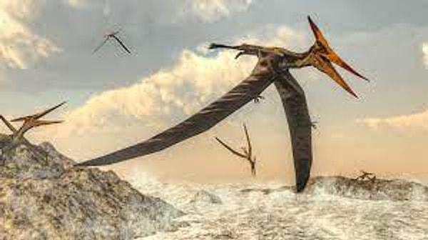 Pterosaur olarak bilinen karada, havada ve suda terör estiren bu avcıdan kaçmak neredeyse imkansızdı.
