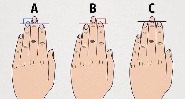 Yukarıdaki görsele göre, parmakların hangisi gibi gözüküyor?