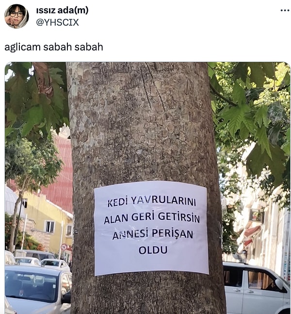 Başlıyoruz!