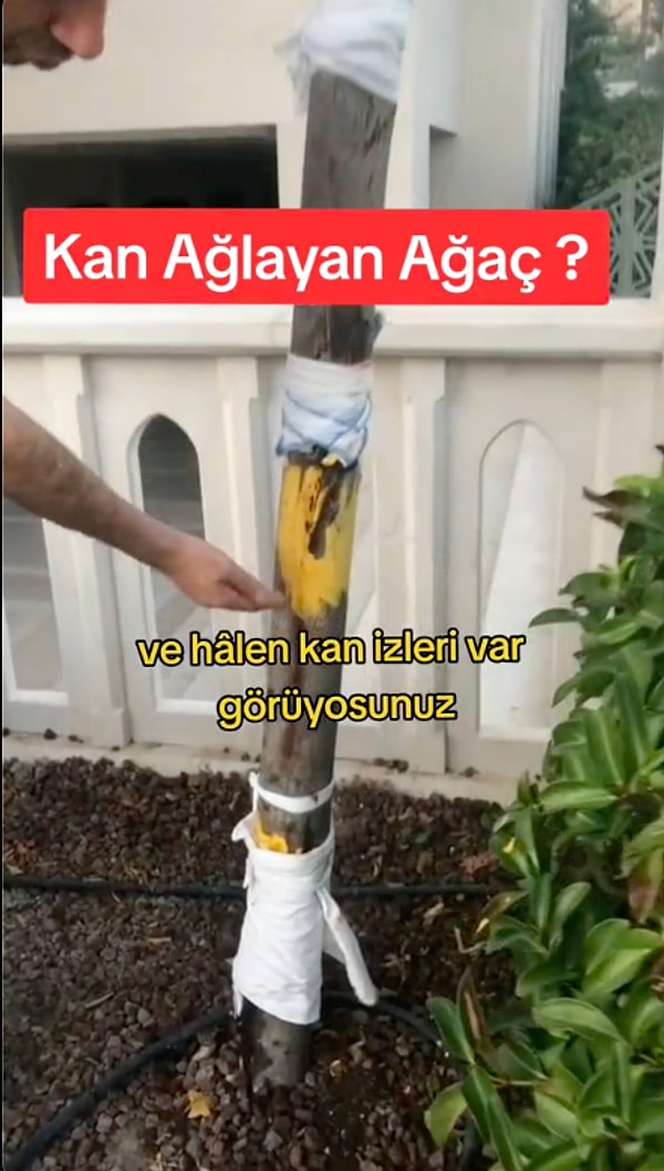 Sosyal medyada bu görüntülere tepki yağdı.