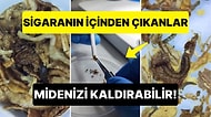 Mikroskop Altında İncelenen Sigaradan Çıkanlar Görenleri Şaşkına Çevirdi