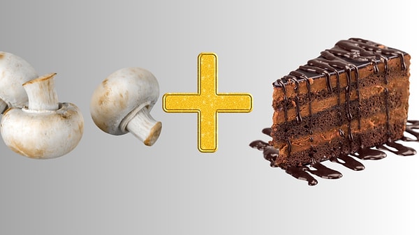 7. Mantar ve Çikolatalı Kek