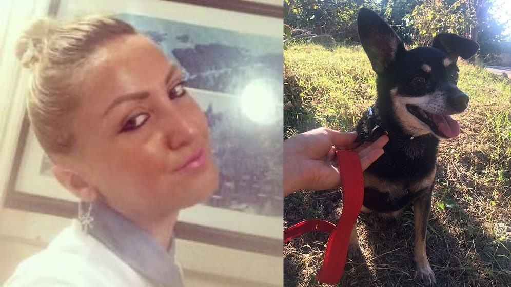 Patronu Tarafından Vuruldu; Son Sözü 'Köpeğime Bakın' Oldu!