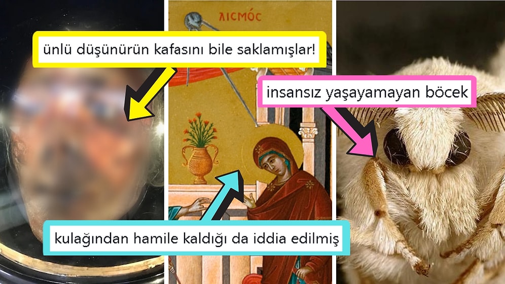 Öğrenince Size Küçük Çaplı Şok Geçirtecek Daha Önce Hiç Duymadığınız 15 İlginç Bilgi