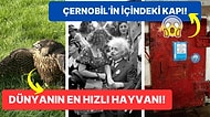 Tarihten Günümüze Hayatı Sorgulamanıza Sebep Olmaya Aday Birbirinden İlginç 17 Görsel