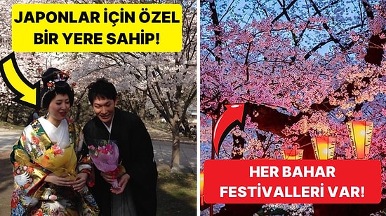 Japonya'da İlkbahar'ın Sembolü Olan Kiraz Çiçeklerinin Tarihini Biliyor muydunuz?