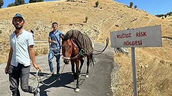 Anormal hareketler sergileyen ve kendi kendini ısırmaya çalışan atın numuneleri Adana Veteriner Kontrol ve Araştırma Enstitüsü Müdürlüğü'ne gönderildi. Numune sonuçları pozitif çıktı. Bunun üzerine Çobanpınar köyü 6 ay süreyle karantina altına alındı.
