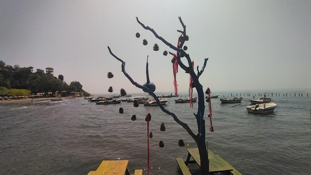 Ayd�n S�ke�nin Karina Sahili�nde Alkol Sat��� Yasakland�