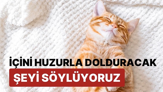 İçini Huzurla Dolduracak Şeyi Söylüyoruz!