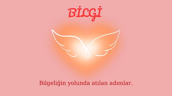 Bilgi