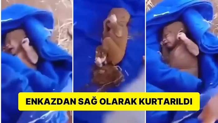 Fas Depreminde Mucize Kurtuluş: Göbek Bağı Bile Kopmamış Bebek Enkazdan Çıkarıldı