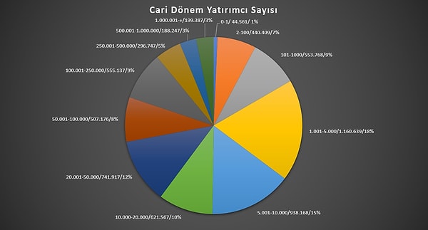 Portföy bazında yatırımcı sayılarında daha eşitlik görülse de bu veriyle birlikte önceki grafikteki bilgiyi de alınca yatırımcılar içinde yüzde 3'lük bir oran paranın yüzde 90'ına sahip görünüyor.