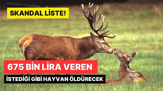 Skandal Liste! Öldürülecek Hayvanlar ve Ücretleri Açıklandı: 675 Bin Lira Veren İstediği Gibi Öldürecek