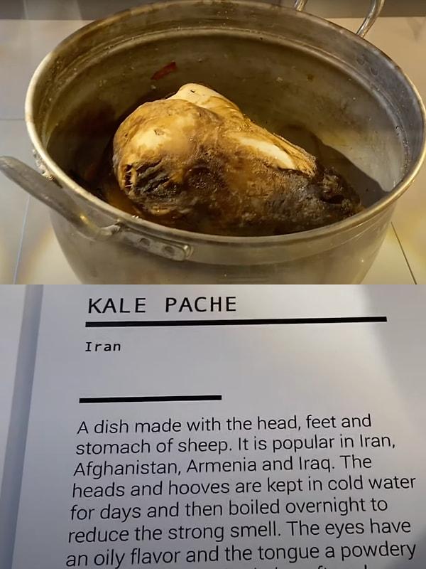 Tavuk göğüsü ve şalgamın yanı sıra müzede tanıdık yemeklerden kelle paça da mevcut ancak menşei İran olarak yazılmış.