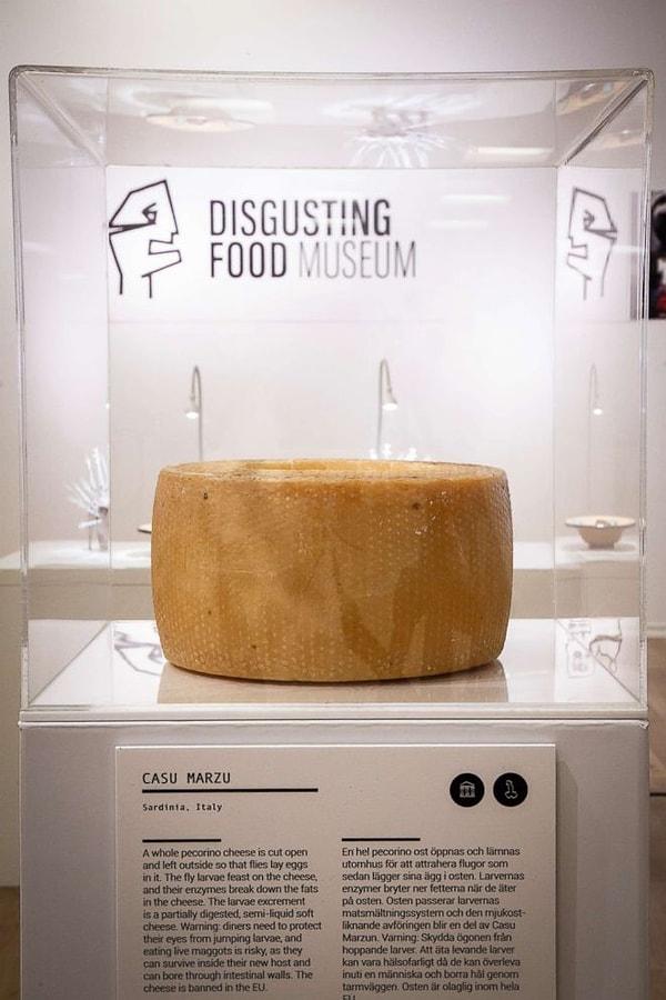 Disgusting Food Museum İsveç Malmö'den sonra Los Angeles ve Berlin'de de ziyaretçilerini bekliyor.