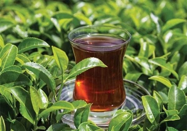 Siteden açıklanmayarak toptan satış yapan şirketlere gönderilen fiyat listeleriyle marketlerde Haziran ayında 45-50 TL aralığında olan kiloluk çay paketleri 140-150 lira bandına çıktığı görüldü.