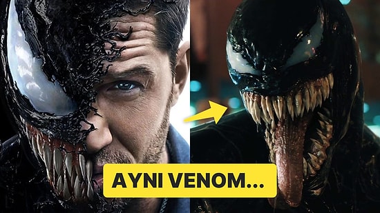 Zehirli ve Öfkeli! Yeni Keşfedilen Bir Örümcek Türüne Tom Hardy'nin Canlandırdığı "Venom" Adı Verildi