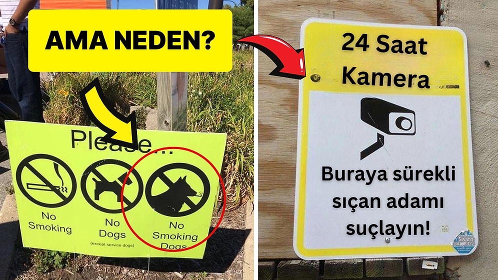 Hangi Kafayla Yazıldıklarını Çözmeye Çalışırken Beyninizin Yanacağı 15 Levha