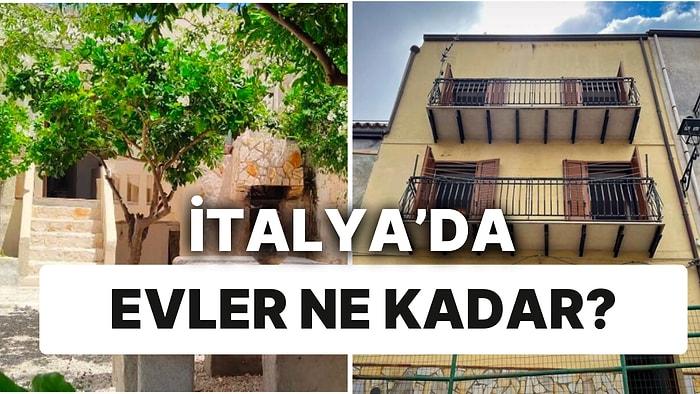 İtalya'dan Türkiye Fiyatına Alabileceğiniz Zeytin Ağaçları İçinde 5 Ev