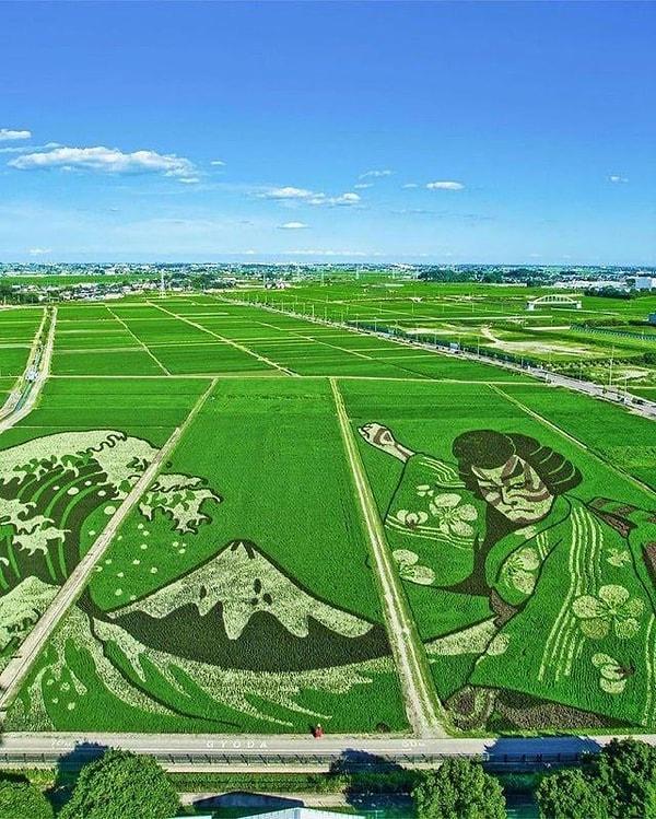 16. Japonya'daki bir pirinç tarlasında yapılan sanat eseri.