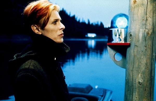17. The Man Who Fell to Earth (1976)