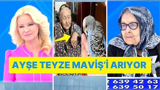 Müge Anlı'da Muhabbet Kuşu Geri Dönsün Diye Adaklar Adayan Ayşe Teyze Yürek Burktu