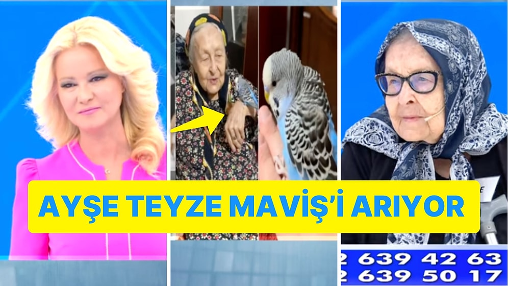 Müge Anlı'da Muhabbet Kuşu Geri Dönsün Diye Adaklar Adayan Ayşe Teyze Yürek Burktu