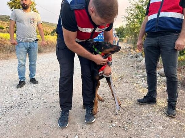 Aramalar sonucunda Berzeg bulunamazken köpeği Tina ise olaydan 74 gün sonra eve geri dönmüştü. Bunun üzerine Tina da aramalara dahil edilmişti.