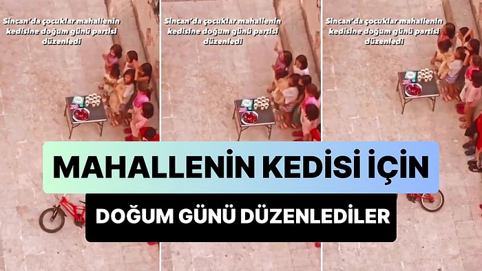 Mahallenin Kedisine Doğum Günü Düzenleyen Güzel Yürekli Çocuklar