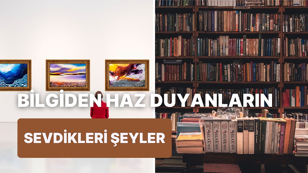 Bilginin Verdiği Haz: Yalnızca Sapyoseksüellerin Anlayabileceği 10 Şey