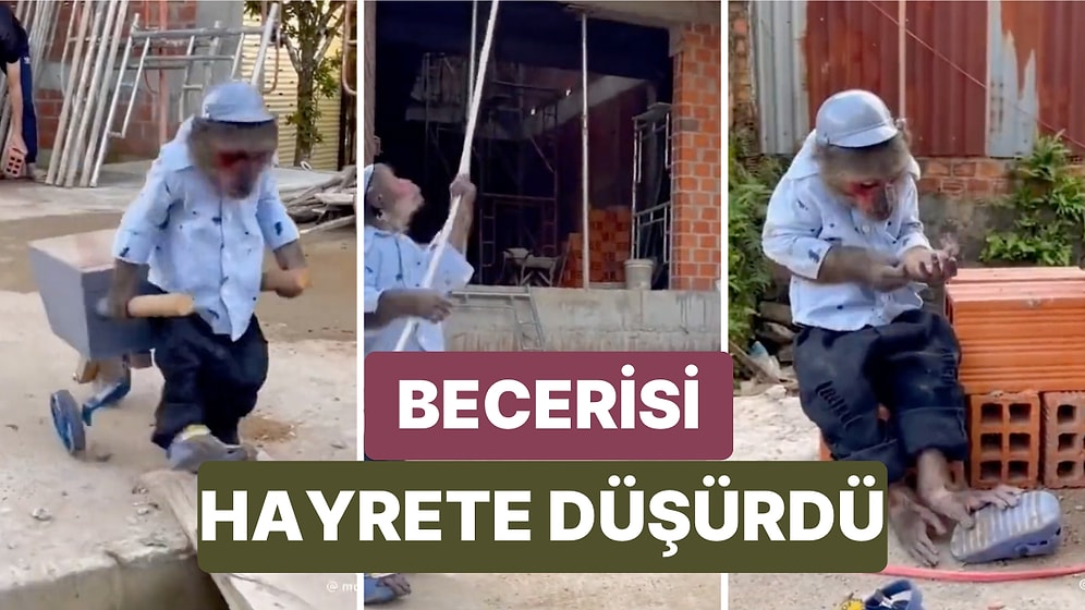 Bir İnşaatta Çalışan Maymunun Çalışkanlığı ve Becerisi Görenleri Hayrete Düşürdü