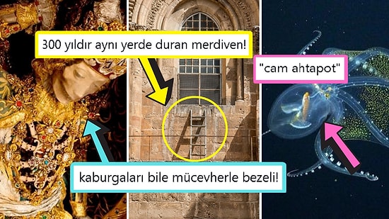 Öğrenince Size Küçük Çaplı Şok Geçirtecek Daha Önce Hiç Duymadığınız 15 İlginç Bilgi