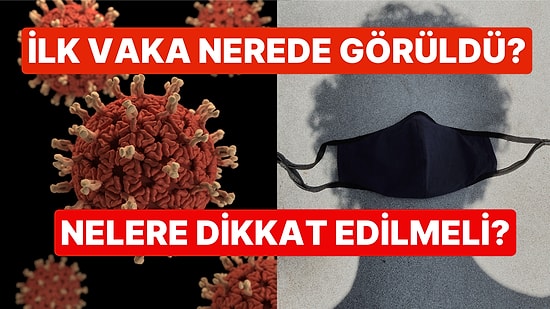 İlk Vaka Görüldü: Koronavirüsten Daha Ölümcül Olduğu Söylenen Nipah Virüsü Hakkında Bilinmesi Gerekenler