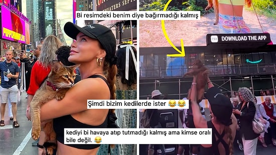 New York Billboard'una Kedisinin Afişlerini Veren Ebru Şallı'nın 'Hiç Takılmaması' Dalga Konusu Oldu