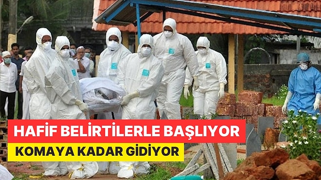 Nipah Virüsü Alarmı: Hafif Belirtelerle Başlıyor, Komaya Kadar Gidiyor