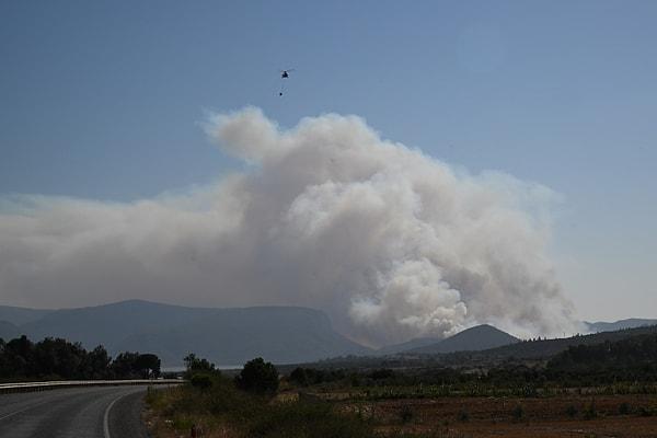 İzmir'in Menderes ilçesi Keler Mahallesi'ndeki ormanlık alanda dün yangın çıktı.