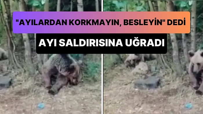 'Çadırınıza Ayı Gelirse Korkmayın, Besleyin' Diyen Kampçıya Ayı Saldırdı