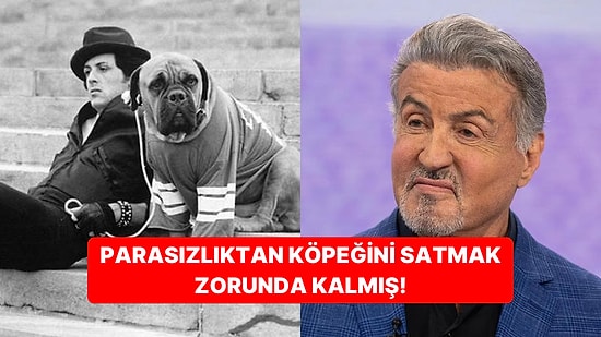 Muhammed Ali'den Esinlenmiş! Sylvester Stallone'un Herkesi Şoke Edecek Ders Niteliğindeki Hayat Hikayesi